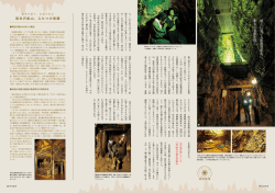 詳細を見る PDF（912KB）