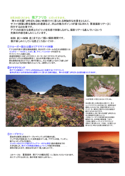 南アフリカツアーの詳細はこちらから