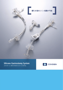 Silicone Gastrostomy System
