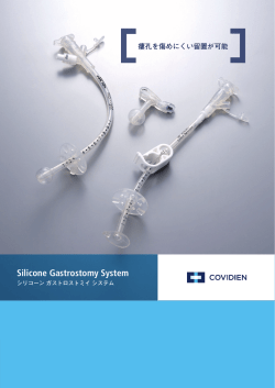 Silicone Gastrostomy System