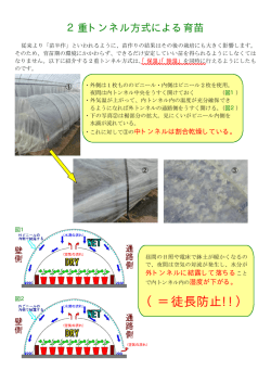 （＝徒長防止!!）