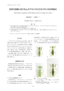 矢作川流域におけるムネアカハラビロカマキリの分布拡大