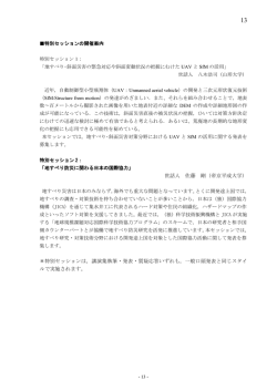 世話人 佐藤 剛（帝京平成大学） ＊特別セッションは，講演集執筆・発表