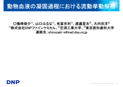 動物血液の凝固過程における流動挙動解析