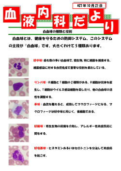 血 液 内 科 だ よ り