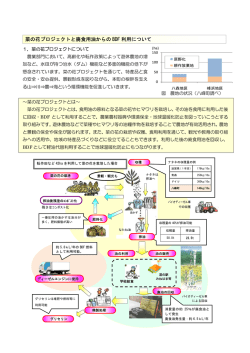 菜の花プロジェクトと廃食用油からの BDF 利用について