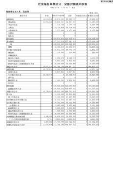 社会福祉事業区分 貸借対照表内訳表 - 東京都西新宿の保育園なら社会