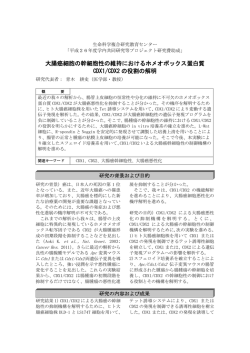 大腸癌細胞の幹細胞性の維持におけるホメオボックス蛋白質 CDX1