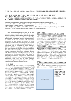 マクロファージによる p38 MAP kinase カスケードの活性化は食道癌の