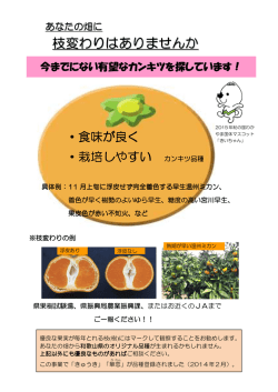 枝変わりはありませんか