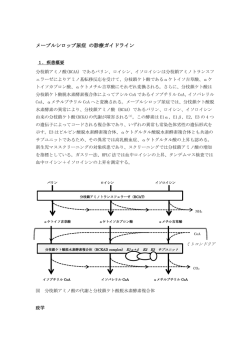 メープルシロップ尿症 の診療ガイドライン