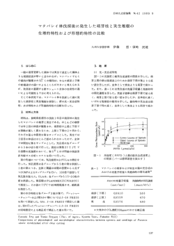 マテバシイ林伐採後に発生した萌芽枝と実生稚樹の 生理的特性および