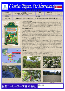 ～生産地域について～ ～特徴～ ～コスタリカ セントタラスについて