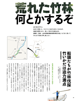 船 頭 た ち が 竹 林 伐 採 竹 い か だ は 迫 力 満 点