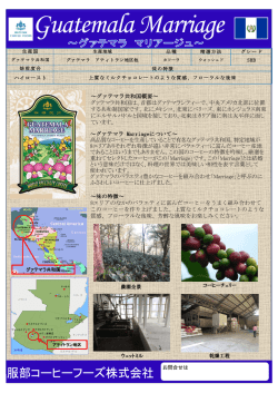フローラルな後味