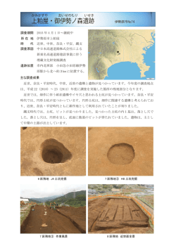 上粕屋・御伊勢ノ森遺跡