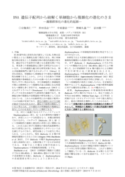 DNA遺伝子配列から紐解く単細胞から複雑化の進化のさま－藻類群体