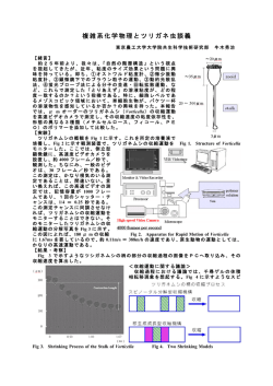 複雑系化学物理とツリガネ虫談義