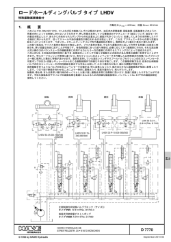 ロードホールディングバルブ タイプ LHDV: D 7770