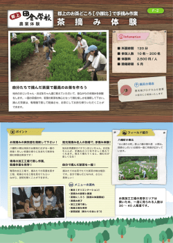 茶 摘 み 体 験