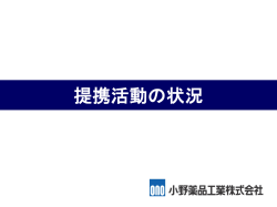 提携活動の状況（934KB）