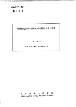 JAERI-M-6180:2.3MB