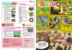 花だより40号 平成27年9月1日発行