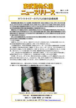 ホワイトタイガーの子どもの脚の診療結果