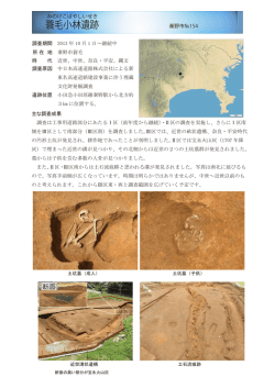 蓑毛小林遺跡
