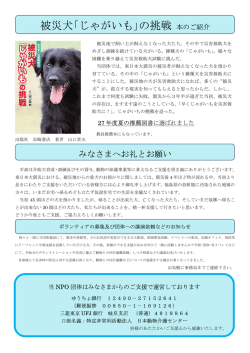 被災犬｢じゃがいも｣の挑戦 本のご紹介