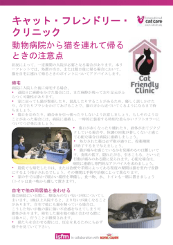 動物病院から猫を連れて帰るときの注意点
