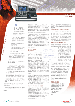 Indigoファクトシート