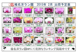 椎名洋ラン園 2015年 2月 出荷予定表