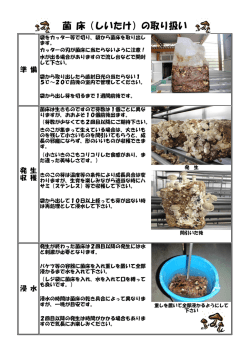 菌 床（しいたけ）の取り扱い