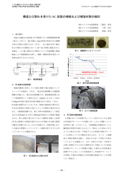 構造ひび割れを受けた RC 床版の補修および補強対策の検討