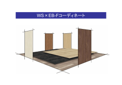 WS×EB-Fコーディネート