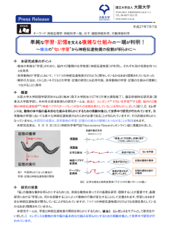プレスリリースの全文を閲覧する（PDF3頁）