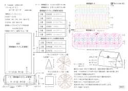 ボーダーポーチ パーセントミニ 3．Luxury colors set 本体 （模様編み A