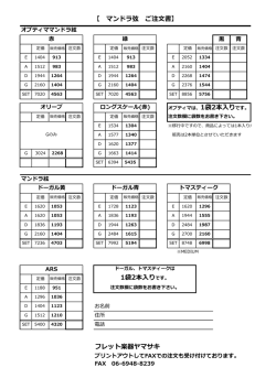 フレット楽器ヤマサキ 1袋2本入りです。 【 マンドラ弦 ご注文書】