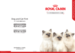 ブリーダー猫用製品カタログ