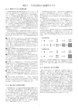 補足1 生活史進化の最適性モデル