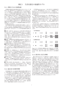 補足1 生活史進化の最適性モデル