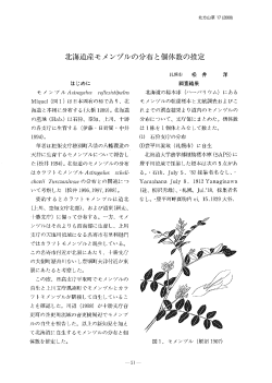 北海道産モメンヅルの分布と個体数の推定(サンプル)