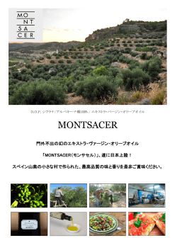 MONTSACER - 株式会社ラムゼス RAMZES CO.,LTD.