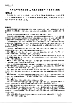 小山町の片所谷戸 (京王線多摩境駅東約5 0 0m、 小山が丘3号・ 4号・ 5