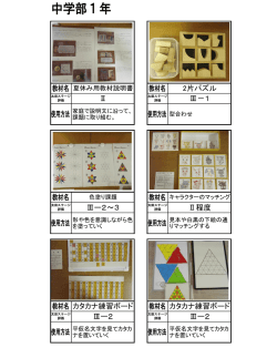 Ⅱ 2片パズル Ⅲ－1 Ⅱ程度 Ⅲー2 Ⅲー2～3 カタカナ練習ボード Ⅲー2