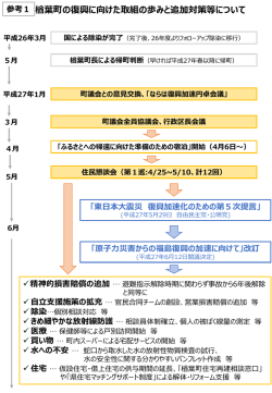楢葉町の復興に向けた取組の歩みと追加対策等について