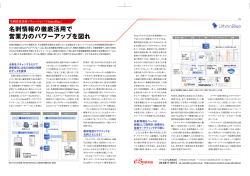 IT Leaders 4月号にアルテマブルーが紹介されました