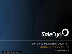 リマーケティングにおけるグローバルリーダー 高品質