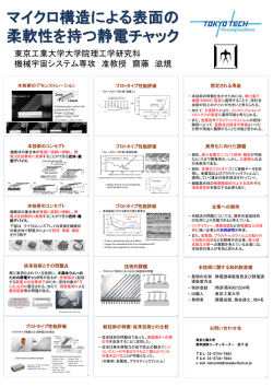 マイクロ構造による表面の柔軟性を持つ静電チャック